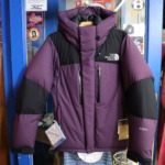 2021FW THE NORTH FACE Baltro Light Jacket BW Black Berry